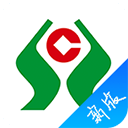 足球赛场变文旅展台 鸡西借“东北超”出圈引客来